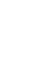 Weißer Schriftzug Logo Rocking Carpets